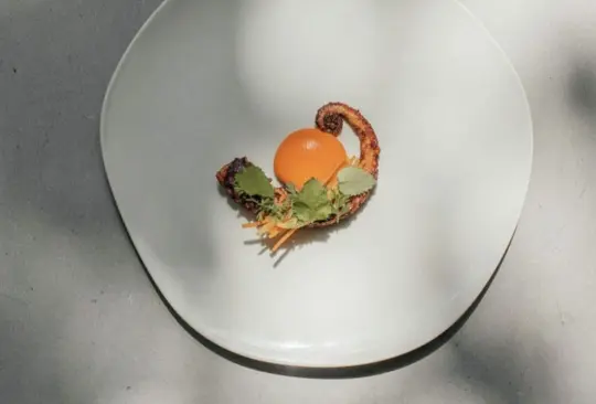 Ya se publicó la lista de The World´s 50 Best 2022, del puesto 50 al 100, y aunque será hasta mediados de mes cuando se dé a conocer el listado completo, te mostramos los restaurantes de México que suelen integrarse a éste y cuánto cuesta comer en ellos.
