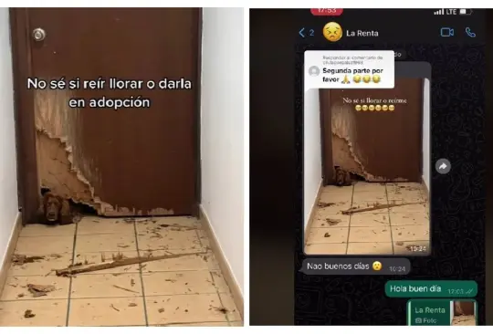 Perrita rompe una puerta