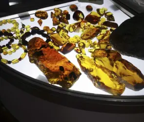 ¡Atención! Anuncian la Expo Ámbar de Chiapas 2022 en la CDMX