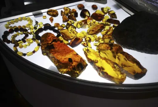 La Vigésima Quinta edición de la Expo Ámbar Chiapas 2022 se llevará a cabo en la CDMX Créditos: Cuartoscuro La Vigésima Quinta edición de la Expo Ámbar Chiapas 2022 se llevará a cabo en la CDMX Créditos: Cuartoscuro