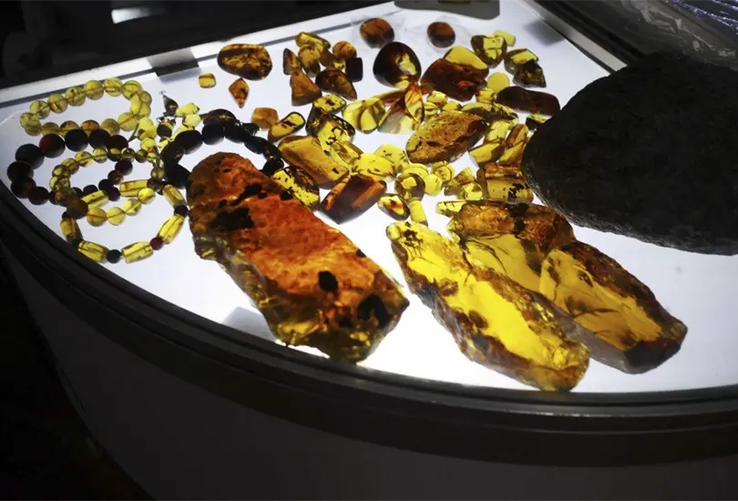 La Vig&eacute;sima Quinta edici&oacute;n de la Expo &Aacute;mbar Chiapas 2022 se llevar&aacute; a cabo en la CDMX Cr&eacute;ditos: Cuartoscuro