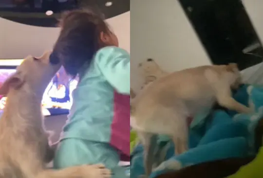 La usuaria Yareli Méndez publicó el video burlándose de su sobrina mientras un perrito le mordía la cabeza