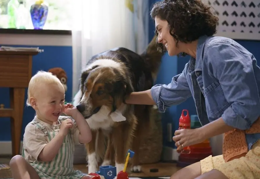 La historia se centra en una perrita que es rescatada por un joven en su intento de formar parte del equipo de b&uacute;squeda y rescate K-9.