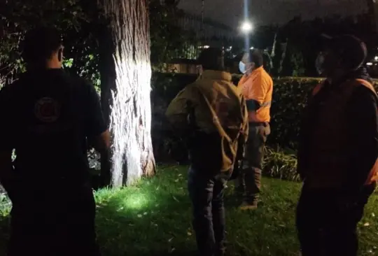 Se registr&oacute; un temblor la madrugada de este viernes en M&eacute;xico. Imagen ilustrativa. 