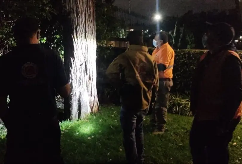 Se registr&oacute; un temblor la madrugada de este viernes en M&eacute;xico. Imagen ilustrativa. 