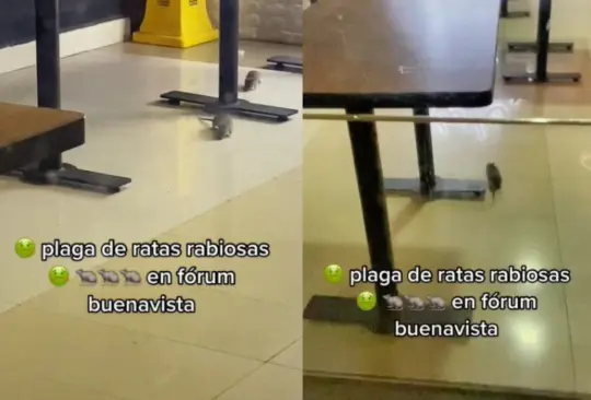 Los internautas señalaron que se trataría del restaurante de pollo frito Popeyes Louisiana Kitchen. Los internautas señalaron que se trataría del restaurante de pollo frito Popeyes Louisiana Kitchen.