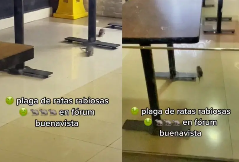 Los internautas se&ntilde;alaron que se tratar&iacute;a del restaurante de pollo frito Popeyes Louisiana Kitchen.