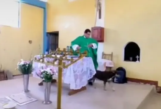 Sacerdote patea a un perro en plena misa