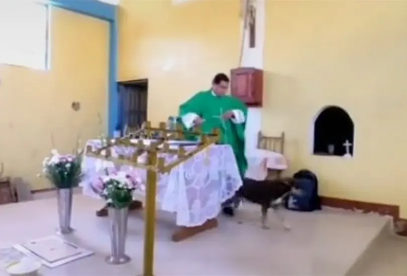 Sacerdote patea a un perro en plena misa