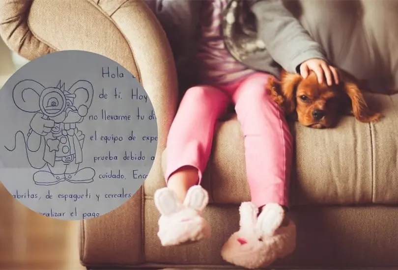 La ni&ntilde;a no recibi&oacute; nada por su diente. 