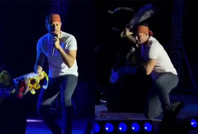 La fan lanz&oacute; un ramo de girasoles al exvocalista de PXNDX, sin embargo, &eacute;l comenz&oacute; a destrozarlo mientras cantaba su tema Sin Ampersand