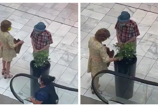 Abuelita se roba una planta del centro comercial Abuelita se roba una planta del centro comercial
