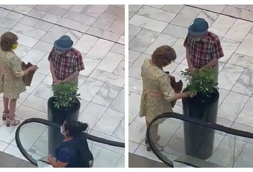 Abuelita se roba una planta del centro comercial