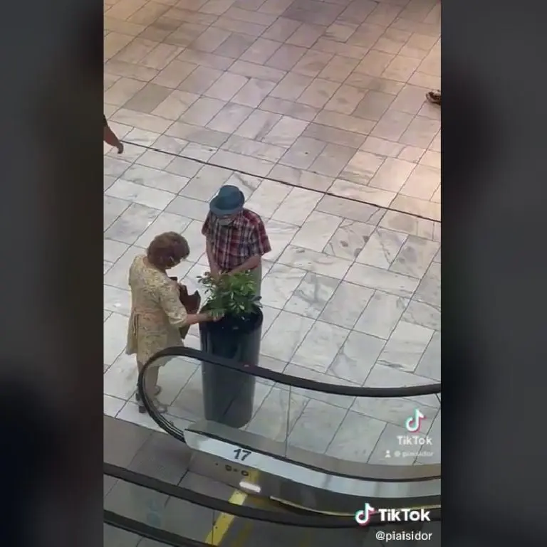 Abuelita roba plantas de centro comercial (TikTok)