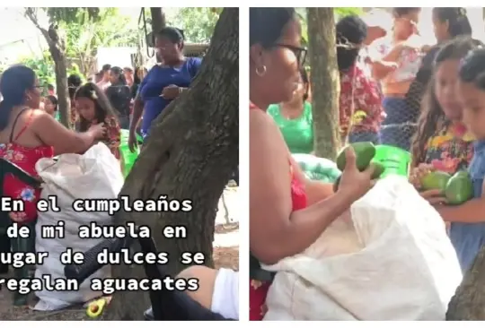 Abuela regala aguacates en su fiesta de cumpleaños Abuela regala aguacates en su fiesta de cumpleaños