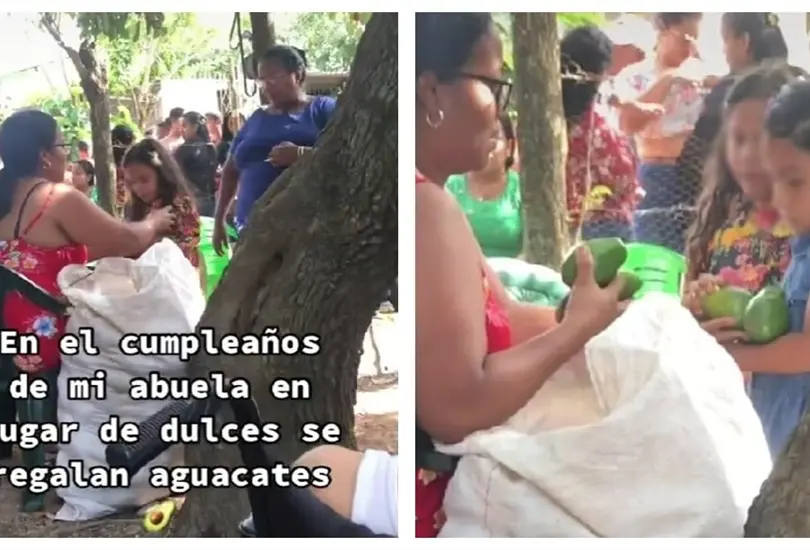 Abuela regala aguacates en su fiesta de cumplea&ntilde;os