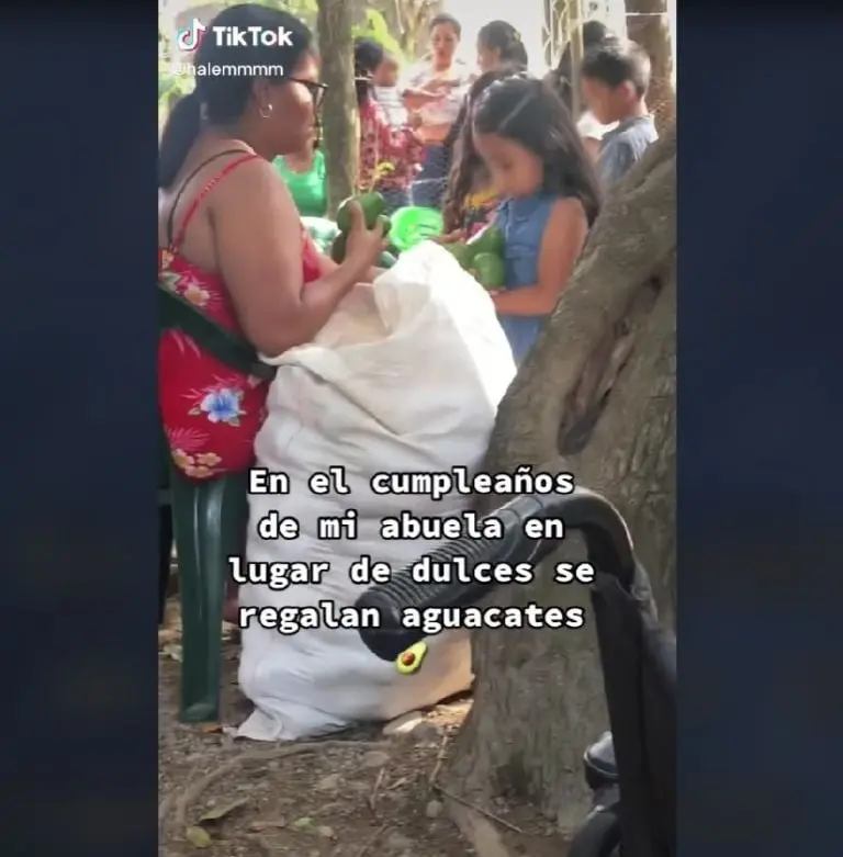 Abuela regala aguacates en su fiesta de cumpleaños (TikTok)
