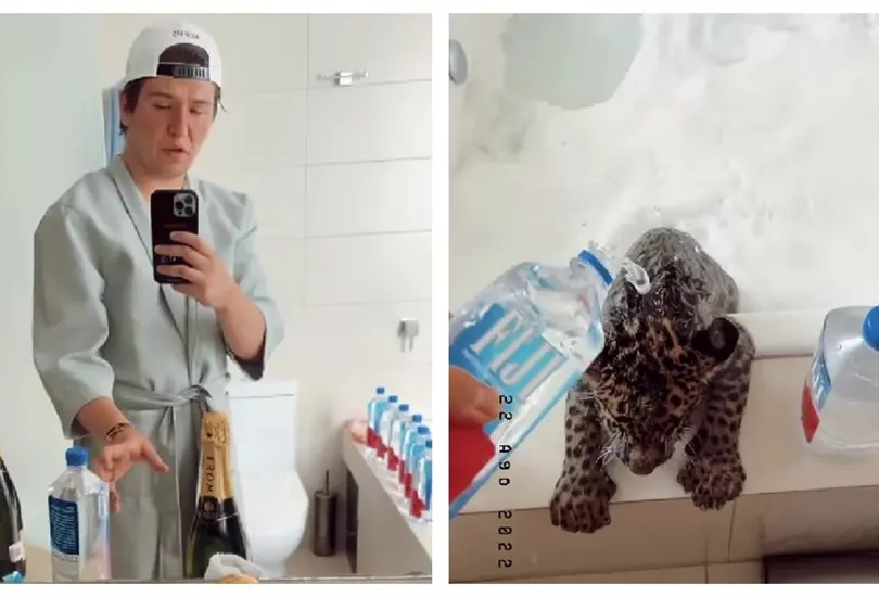 Critican a su jaguar por ba&ntilde;ar a su jaguar con champagne
