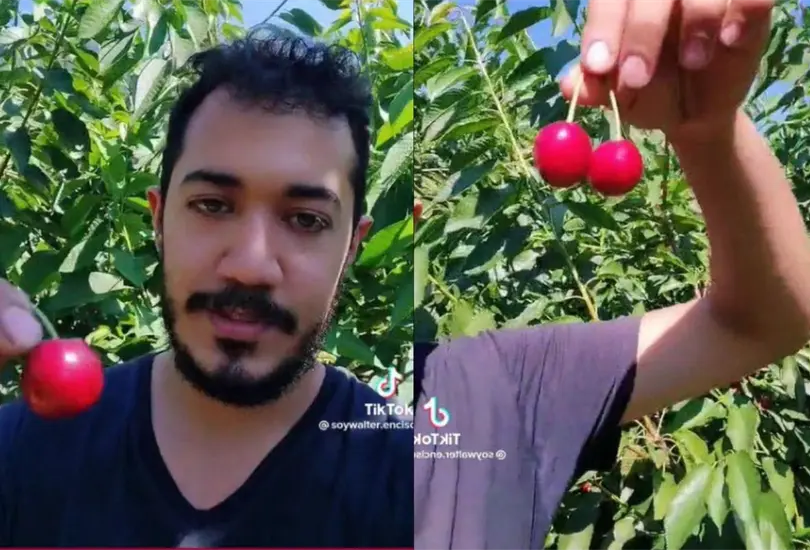 El joven asegur&oacute; que con trabajar 3 meses en el pa&iacute;s norteamericano, puede ahorrar el dinero suficiente para vivir bien todo un a&ntilde;o en M&eacute;xico