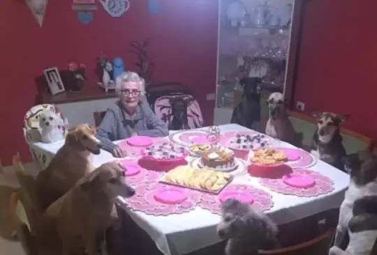 Abuelita feliz cumpliendo años con sus perritos Abuelita feliz cumpliendo años con sus perritos