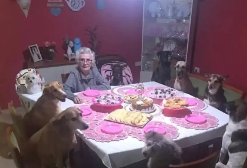 Abuelita feliz cumpliendo a&ntilde;os con sus perritos