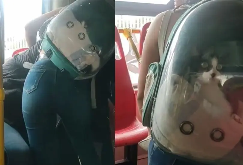 Las mujeres protagonizaron una pelea en el transporte p&uacute;blico. 
