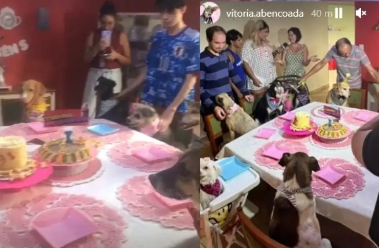 La familia Abencoada siendo visitada en su casa por la televisión de Brasil. Foto: Instagram.