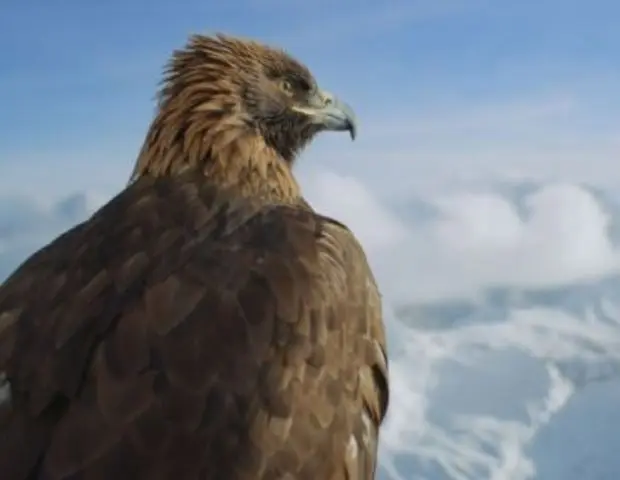 Supernatural (21/09)