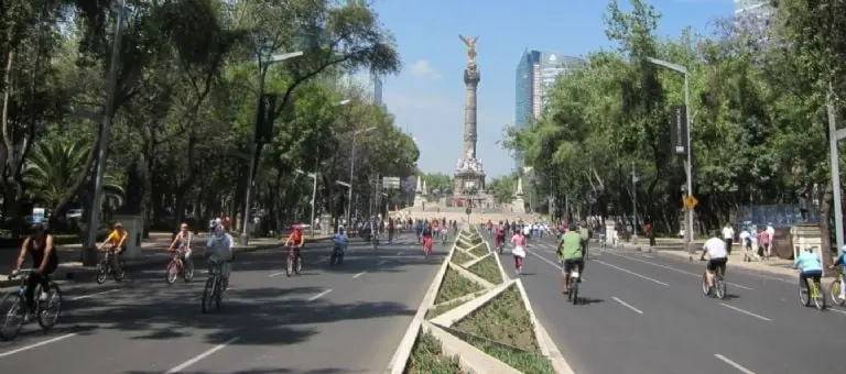 En la CDMX solo se pueden renovar licencias permanentes para los que ya las tienen. Foto: PxHere.