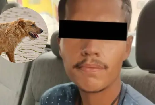 El sujeto será sometido a juicio. El sujeto será sometido a juicio.