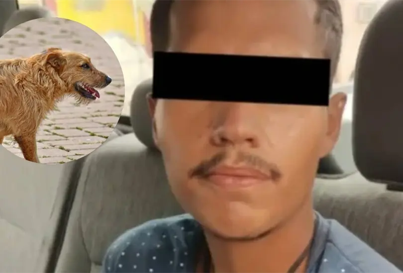 El sujeto será sometido a juicio. El sujeto será sometido a juicio.