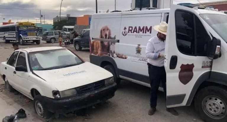 Personal de Rescate y Adopción de Mascotas. Foto: Twitter (@MunicipioJuarez).