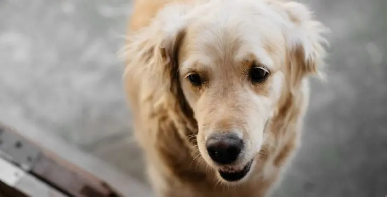 No era la primera vez que el ahora detenido lo hacía. Foto: especial.
