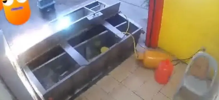 El puesto de tacos cayó al piso. Foto: especial.