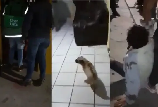 Los repartidores de comida ingresaron a la casa del ladrón para golpearlo. 