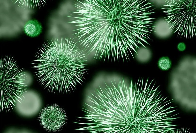 El Henipavirus ha encendido las alarmas epidemiol&oacute;gicas en China