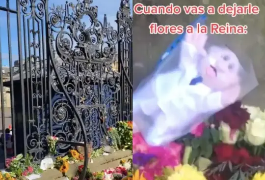 El Dr. Simi apareció rodeado de flores, banderas y cartas que hacían homenaje a la reina Isabel II Créditos: Captura de pantalla. 