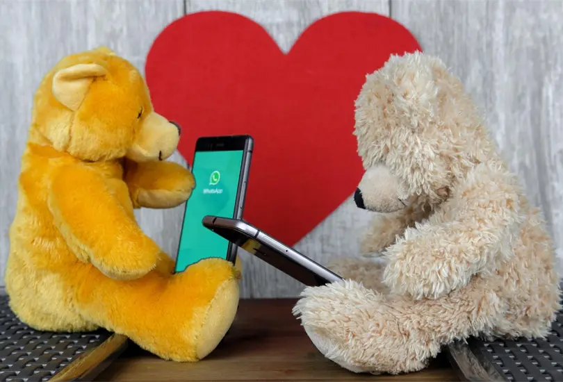 As&iacute; evitar&aacute;s que te esp&iacute;e