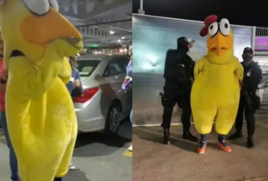 Arrestan a botarga de pollo en aeropuerto de Guadalajara y se hace viral Arrestan a botarga de pollo en aeropuerto de Guadalajara y se hace viral