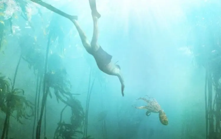 My Octopus Teacher (2020)