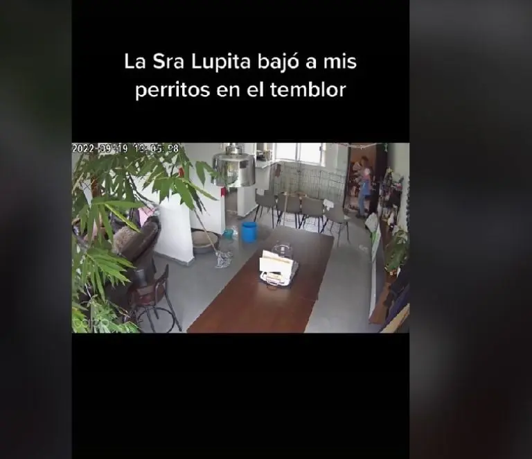 Empleada del hogar saca a los perritos de su jefa en el temblor (TikTok)