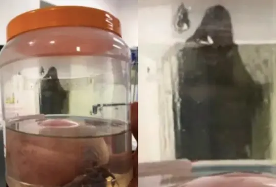 El médico cirujano que captó la imagen aseguró que era totalmente real Créditos: Especial El médico cirujano que captó la imagen aseguró que era totalmente real Créditos: Especial