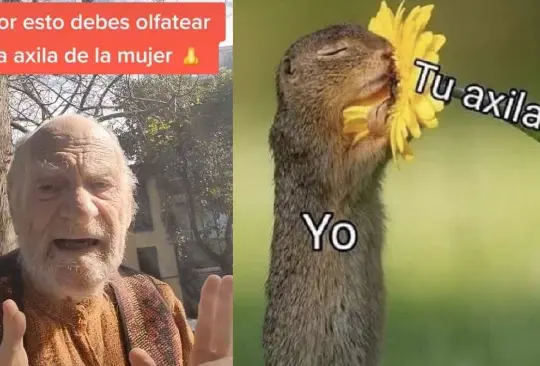 Olerlas te hará mucho bien