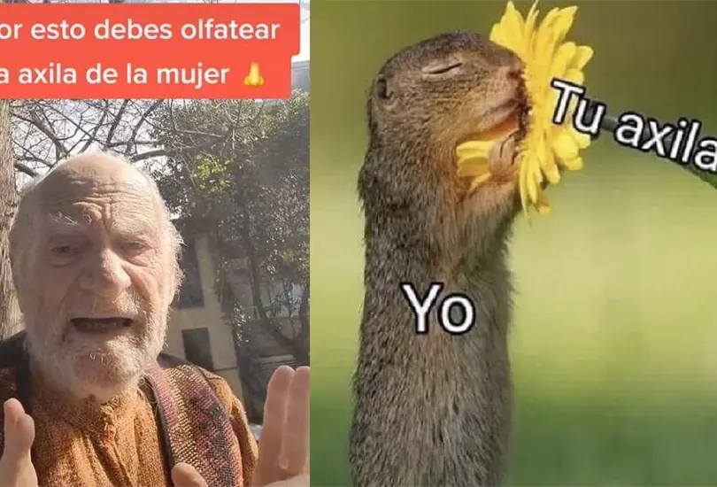 Olerlas te har&aacute; mucho bien