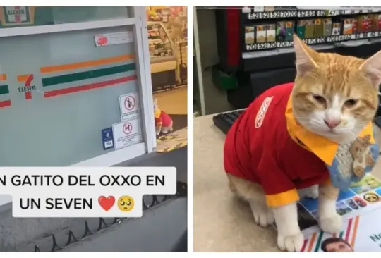 Gatito del Oxxo en un 7-Eleven