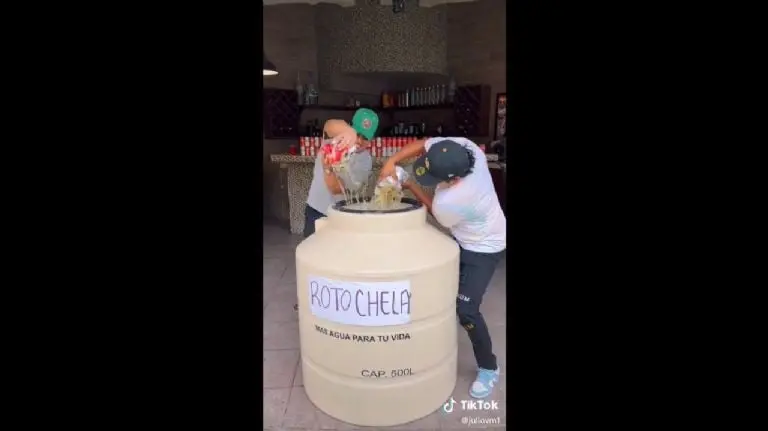 Rotochelaen tamaño real - Tomada de video