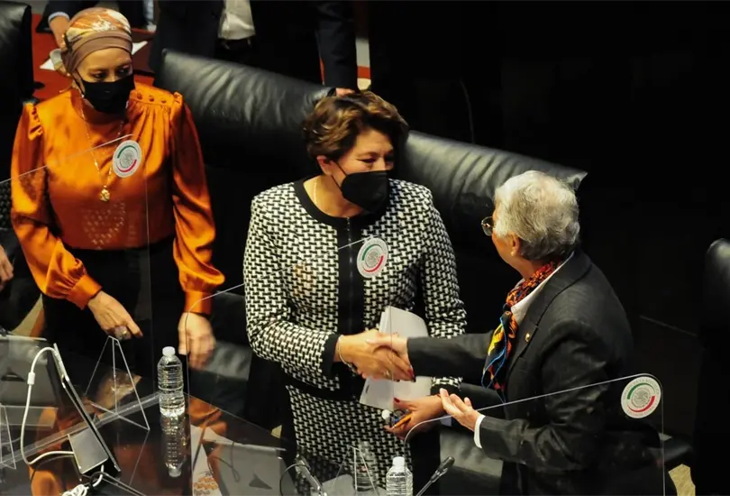 Delfina Gómez regresa al senado, cargo que dejó en 2018. Delfina Gómez regresa al senado, cargo que dejó en 2018.