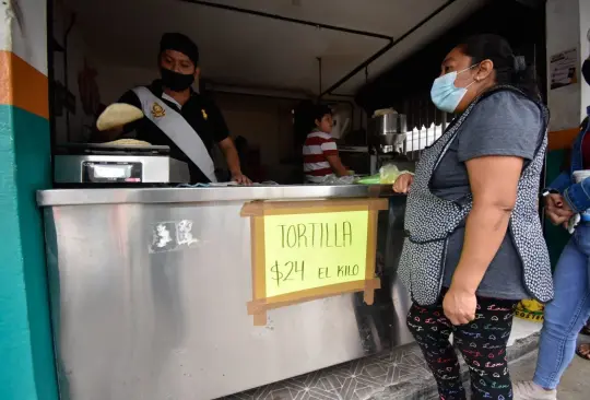 ¿Cuál es el precio del kilo de tortillas? 