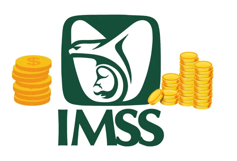 IMSS IMSS