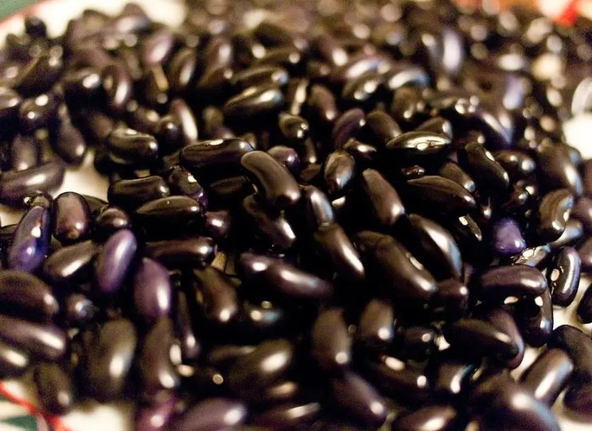 Son ricos en vitamina B1, B2, B3, B5, B6 y B9. 